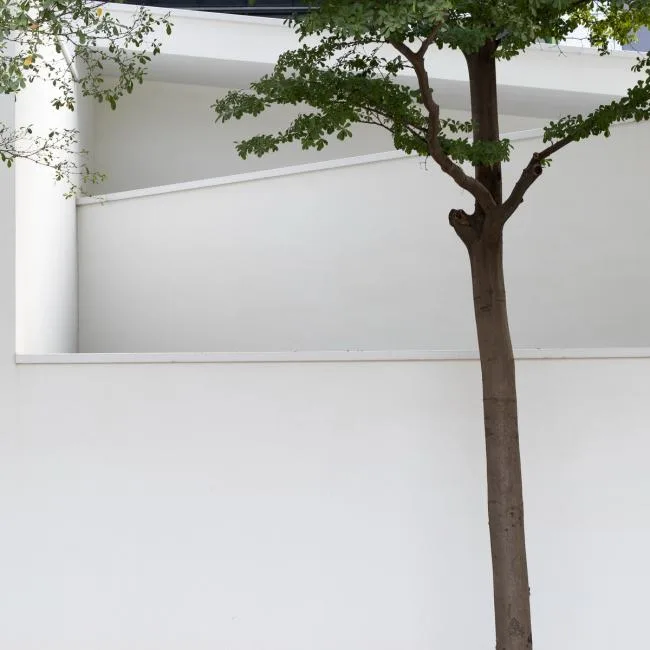 BIM Architecture | Simple and Stylish Lifestyle Aesthetics Museum/Ink Photography Architectural Design Firm