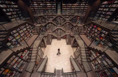 BIM Architecture: Chongqing Zhongshuge by Weixiang International – A Sanctuary for the Soul-BIM WORLD
