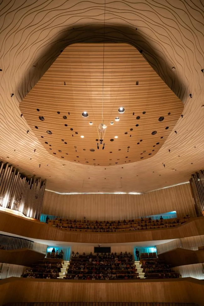 BIM Architecture | Like the free development and extension of banyan tree roots: Kaohsiung Art Center/Mecanoo