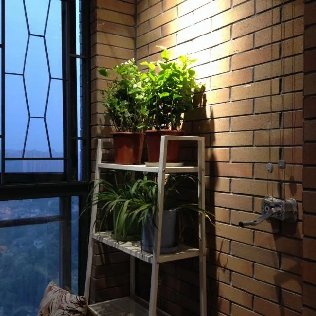 BIM Architecture | Fanghua; Daily Life in the Grid Wall of Home - Architect's Home/Jin Chao, Yan Luhong