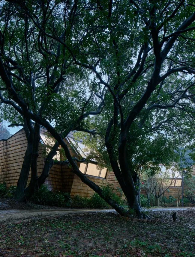 BIM Architecture | Viewing Under the Yangmei Tree - Star Cube/China Academy of Art Landscape Architecture Design Research Institute