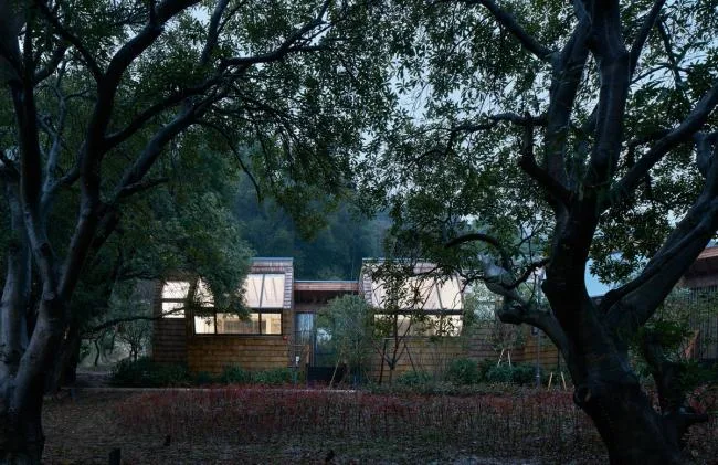 BIM Architecture | Viewing Under the Yangmei Tree - Star Cube/China Academy of Art Landscape Architecture Design Research Institute