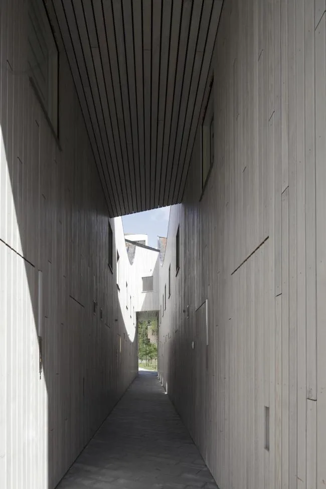 BIM Architecture | Like a Flag Dancing with the Wind: Dutch Hidden Delights Apartments/NL Architects