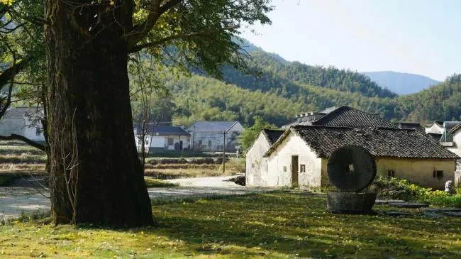 BIM Architecture | Qifeng Village History Museum/SUP Simple Architecture Studio