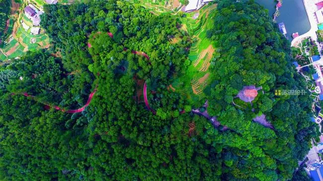 BIM Architecture | Fragrant Local Scenery Blossoming on the Outskirt - Fujian Datian Greenway Plan Design/Shanghai Xuan Quan Design