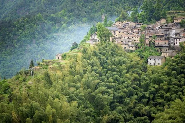 BIM Architecture | Artificial Natural - Songyang Yuanshe · Lanshushan House/Gad · Line+Studio