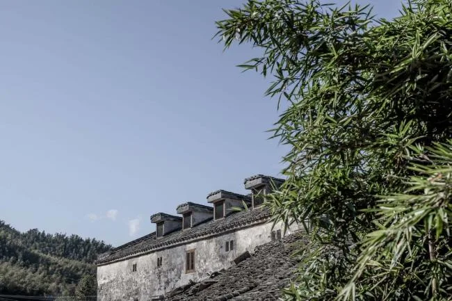 BIM Architecture | Qifeng Village History Museum/SUP Simple Architecture Studio