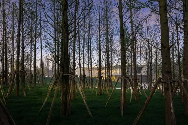 BIM Architecture | Laixi River Ecological Sports Park/Shanghai Tianhua Landscape Decoration Co., Ltd