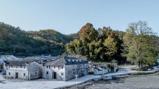 BIM Architecture | Qifeng Village History Museum/SUP Simple Architecture Studio