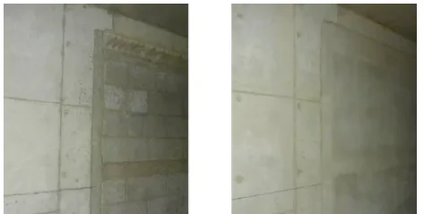 BIM and prefabricated shear walls can be constructed in this way without painting!