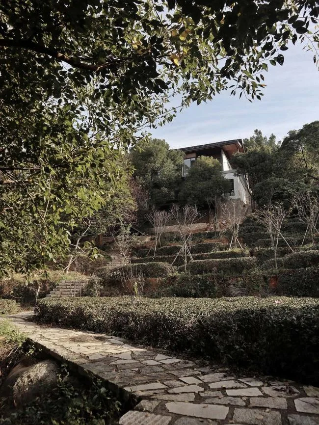 BIM Architecture | Maolin Qingquan, Burning Spray Nose Drinking Tea: Tea Words Not Elegant House/Hehe Design Studio