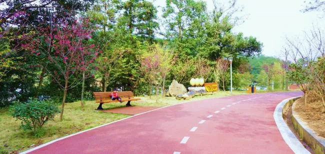 BIM Architecture | Fragrant Local Scenery Blossoming on the Outskirt - Fujian Datian Greenway Plan Design/Shanghai Xuan Quan Design