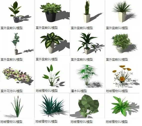 SketchUp Materials: Outdoor Potted Bonsai, Flower Pools, Ground Cover Plants, and Shrubs for Landscape Design