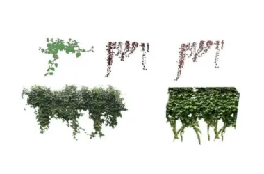 SketchUp Materials: Climbing Vines, Shrubs, and Landscape Components-BIM WORLD