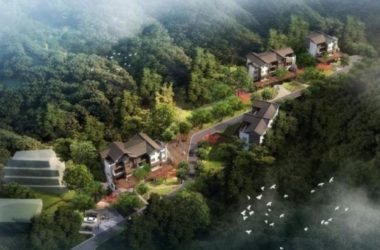 SketchUp Villa Model: Chinese-Style Single Family Villa Cluster-BIM WORLD