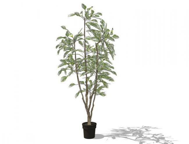 SketchUp Material Models: Outdoor Potted Plants Collection