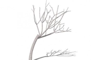 SketchUp Material Models: 3D Dead Tree, Branches, and Plants-BIM WORLD