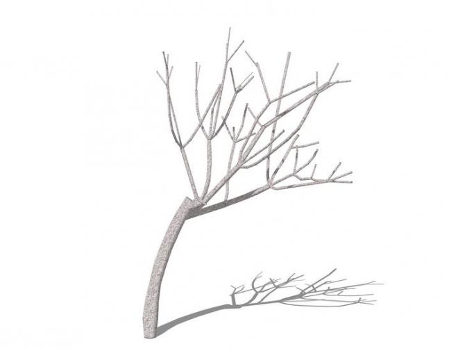 SketchUp Material Models: 3D Dead Tree, Branches, and Plants