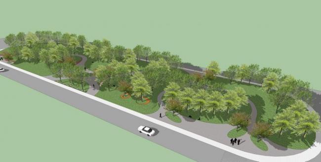 SketchUp Landscape Models: 2D Trees, Park Scenes, and Tree Designs