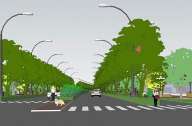 SketchUp Landscape Model: Street Scenes with Pedestrian Walkways, Roadside Greenery, and Street Lamps-BIM WORLD