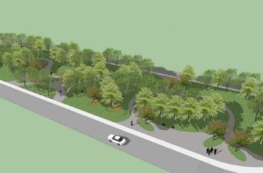 SketchUp Landscape Models: 2D Trees, Park Scenes, and Outdoor Vegetation-BIM WORLD