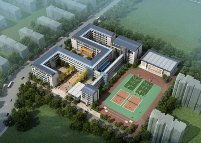 Modern Multi-Story School Buildings: Primary and Secondary Educational Designs in SketchUp