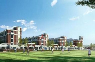Multi-Story Primary and Secondary School Model | Simplified European-Style Educational Building in SketchUp-BIM WORLD