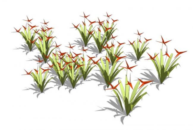 SketchUp Material Models: Ground Cover Plants, Shrubs, Flowers, and Landscape Elements
