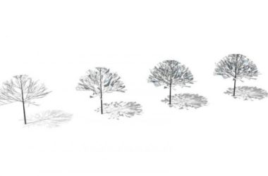 SketchUp Materials: Hand-Drawn 2D Watercolor Trees for Landscape Design-BIM WORLD