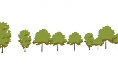 SketchUp Material Models: 2D Watercolor Trees, Hand-Drawn Plants, and Landscape Components-BIM WORLD