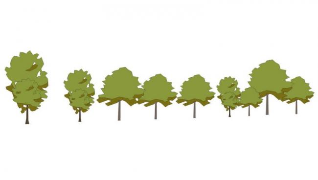 SketchUp Material Models: 2D Watercolor Trees, Hand-Drawn Plants, and Landscape Components
