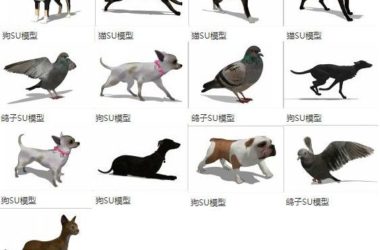 SketchUp Material Models: Animals, Cats, Dogs, Pigeons, and Component Materials-BIM WORLD
