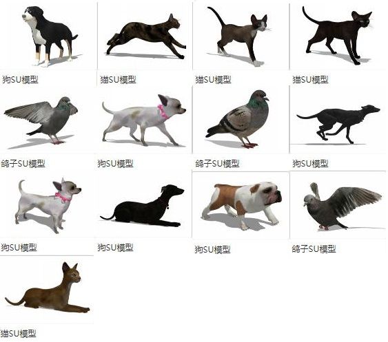 SketchUp Material Models: Animals, Cats, Dogs, Pigeons, and Component Materials
