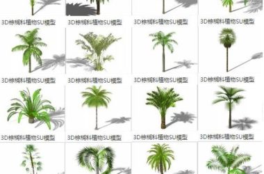SketchUp Materials Library: 3D Plants, Palm Trees, Coconut Trees, and Landscape Elements-BIM WORLD