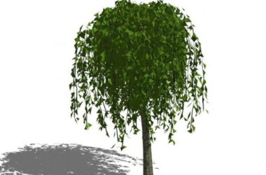 SketchUp Materials: Plants, Trees, and Landscape Components-BIM WORLD