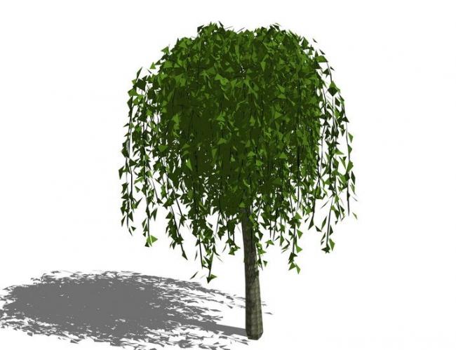 SketchUp Materials: Plants, Trees, and Landscape Components