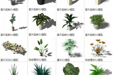 SketchUp Materials: Outdoor Potted Bonsai, Flower Pools, Ground Cover Plants, and Shrubs for Landscape Design-BIM WORLD
