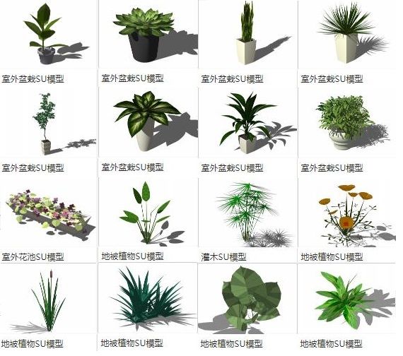 SketchUp Materials: Outdoor Potted Bonsai, Flower Pools, Ground Cover Plants, and Shrubs for Landscape Design