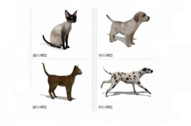 SketchUp Material Models: Cat, Dog, and Animal Components-BIM WORLD