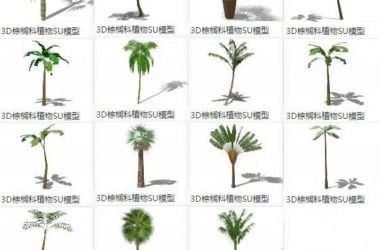 SketchUp Material Models: 3D Landscape Plants and Palm Family Components-BIM WORLD