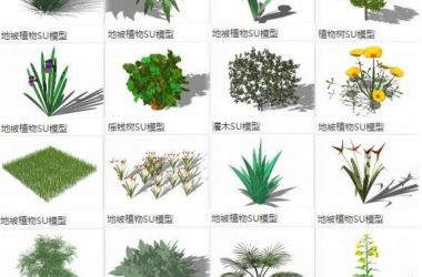 SketchUp Materials Library: Ground Cover, Shrubs, Trees, and Landscape Elements-BIM WORLD