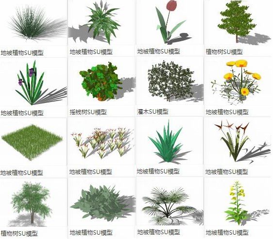 SketchUp Materials Library: Ground Cover, Shrubs, Trees, and Landscape Elements