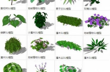 SketchUp Materials: Ground Cover Plants, Trees, Shrubs, and Landscape Components-BIM WORLD