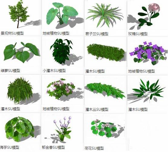 SketchUp Materials: Ground Cover Plants, Trees, Shrubs, and Landscape Components