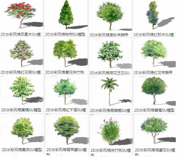 SketchUp Materials: 2D Plant Trees, Watercolor Trees, Large Trees, and Landscape Components