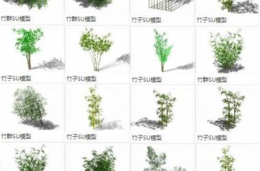 SketchUp Material Models: Bamboo Leaves, Branches, Clusters, and Plant Landscape Components-BIM WORLD
