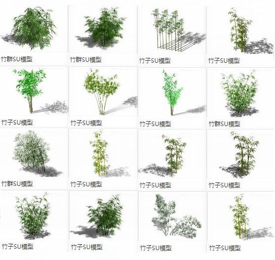 SketchUp Material Models: Bamboo Leaves, Branches, Clusters, and Plant Landscape Components