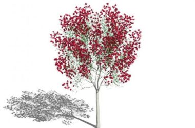 SketchUp Materials: 3D Models of Plants, Branches, Dry Red Leaves, and Landscape Components-BIM WORLD