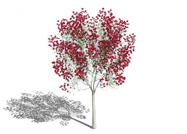 SketchUp Materials: 3D Models of Plants, Branches, Dry Red Leaves, and Landscape Components