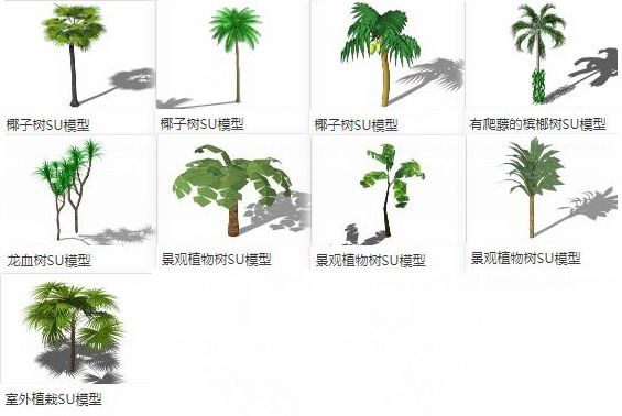 SketchUp Materials: 3D Models of Plants, Palm Trees, and Landscape Components